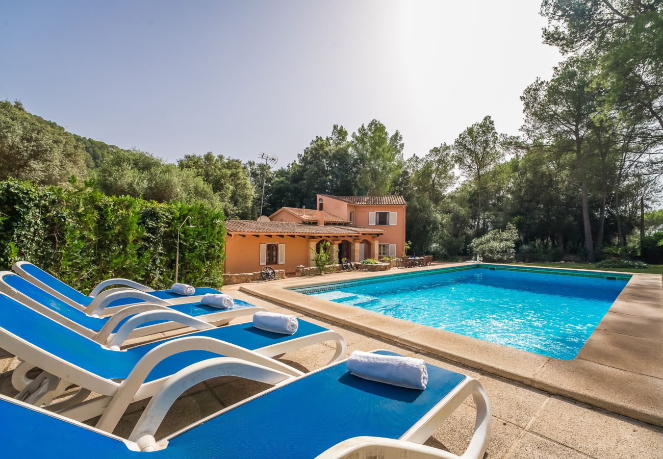 Country house in Sa Pobla - House in Mallorca Esteban with private pool 